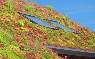 Moss Side living roof systems