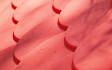 Moss Side plastic roof costs