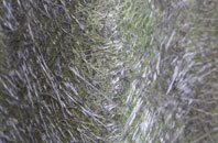 Moss Side fibreglass roof work